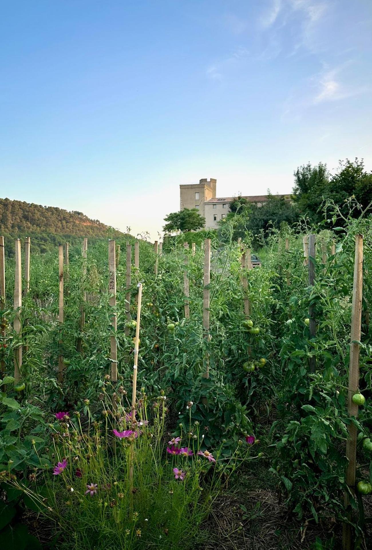 Villelaure Domaine La Ferme Hi Bride Bed & Breakfast エクステリア 写真