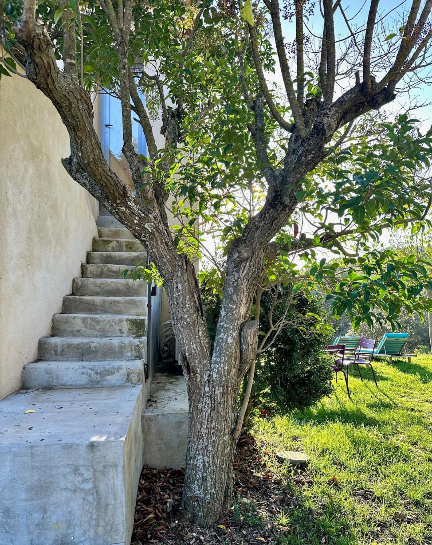 Villelaure Domaine La Ferme Hi Bride Bed & Breakfast エクステリア 写真
